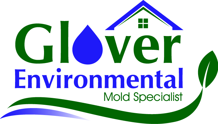 Raleigh Mold Removal